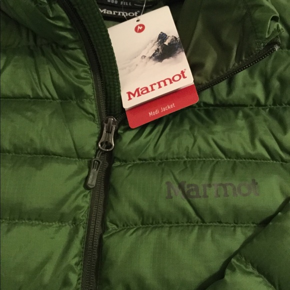 marmot modi jacket